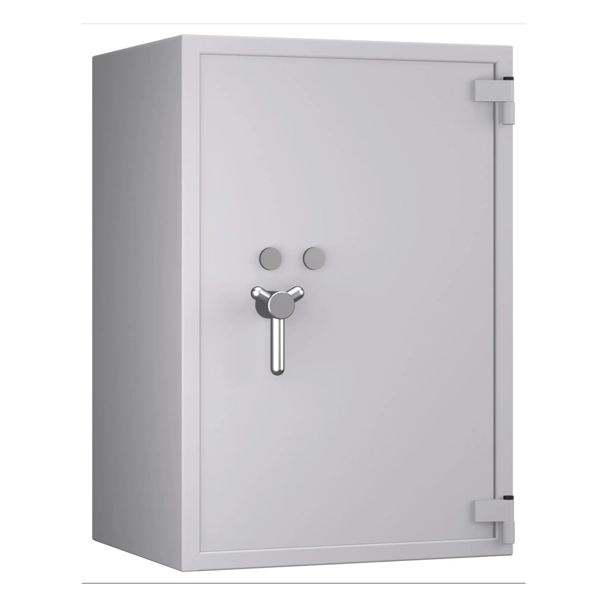 Pegasus Pro safe, Light Grey, door closed